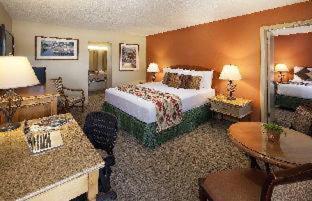 Two-Bedroom Unit,1435043161:JPEG